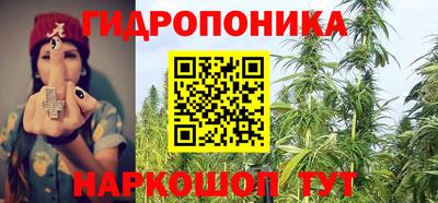прущие грибы Ливны
