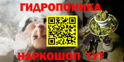 прущие грибы Ликино-Дулёво